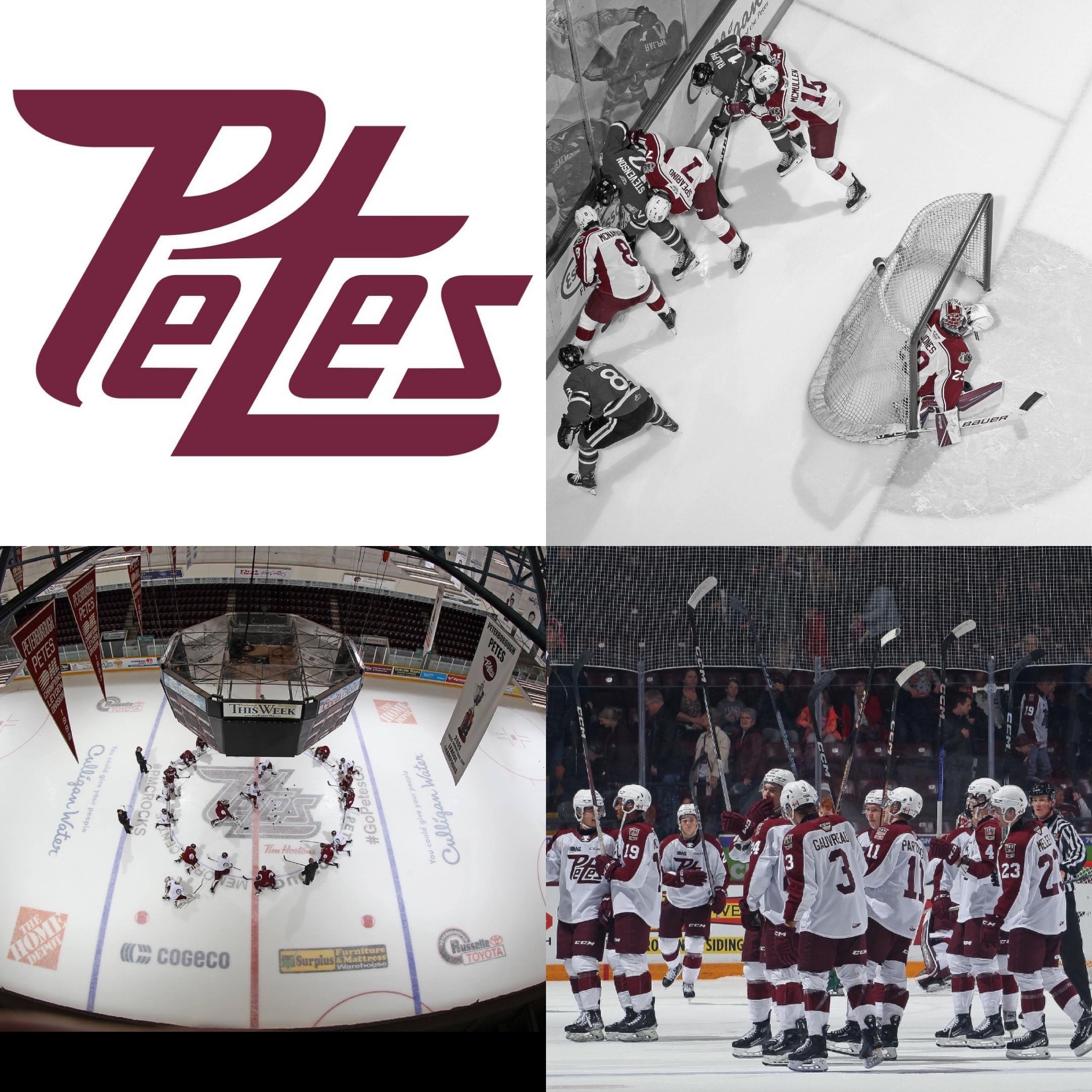 PEterborough%20Petes.png