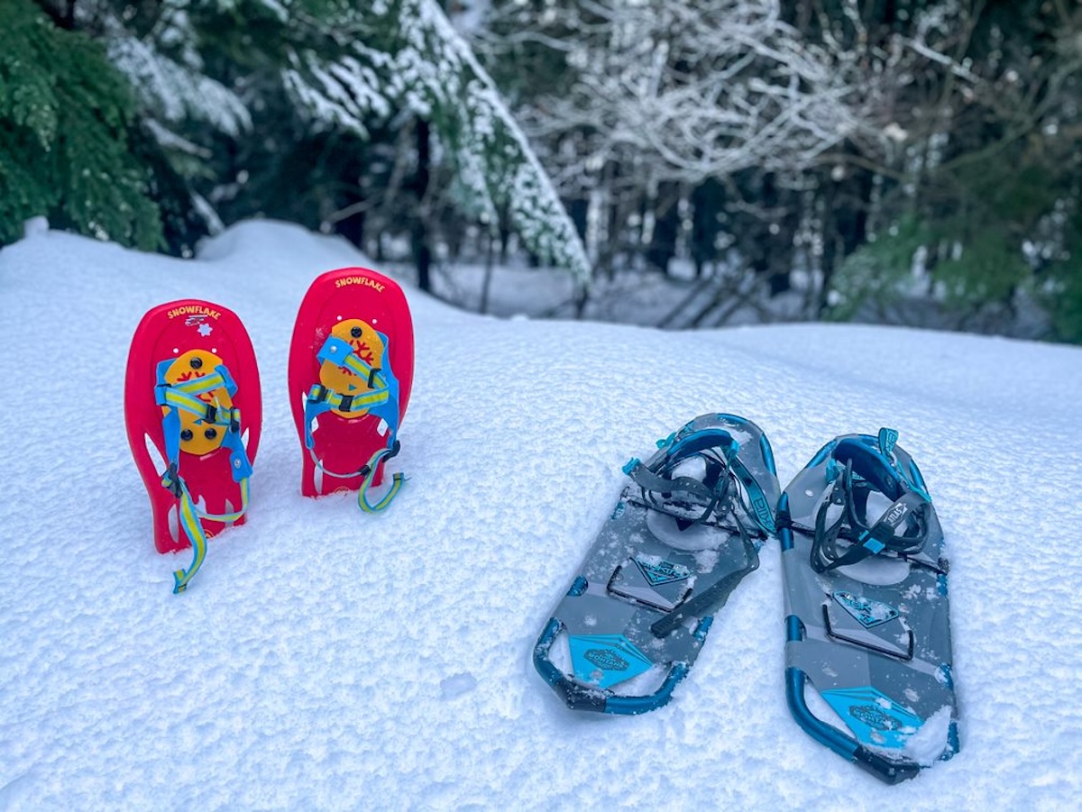 Snowshoes2.jpg