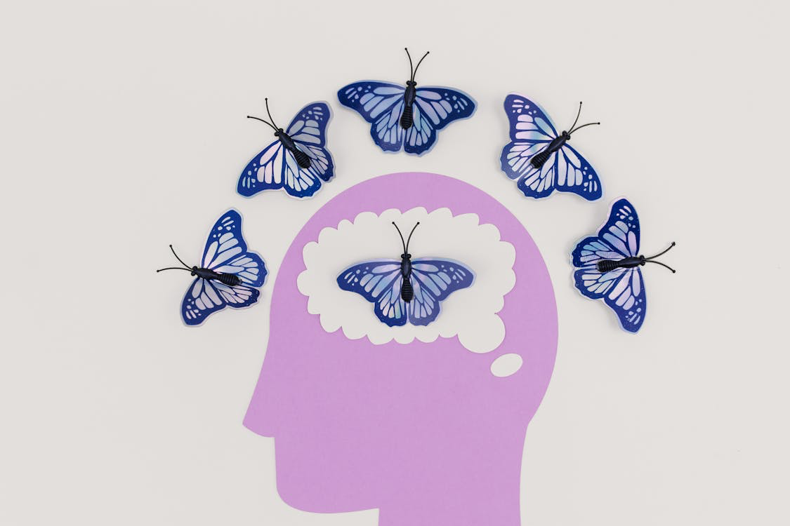 Free Illustration of a Head and Butterflies Around the Scalp and Inside the Brain Stock Photo