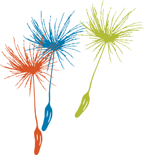 Red, Blue and Green Seed pods