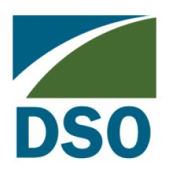 DSO logo