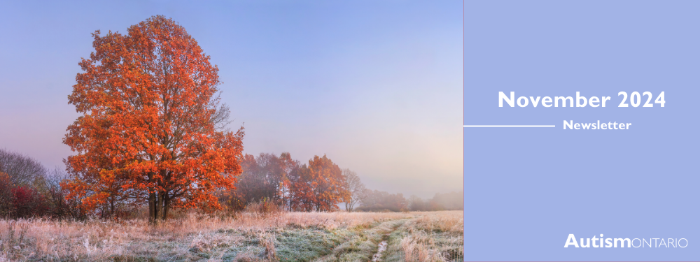 November newsletter banner