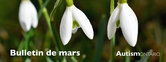 Fleurs écloses au printemps