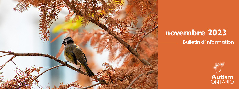 Autumn leaves falling from a tree