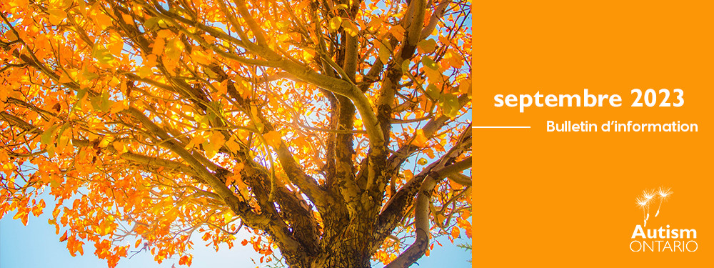 Autumn leaves falling from a tree