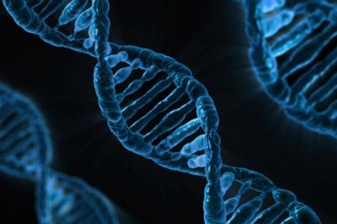 Stylized dark blue DNA strand on a black background