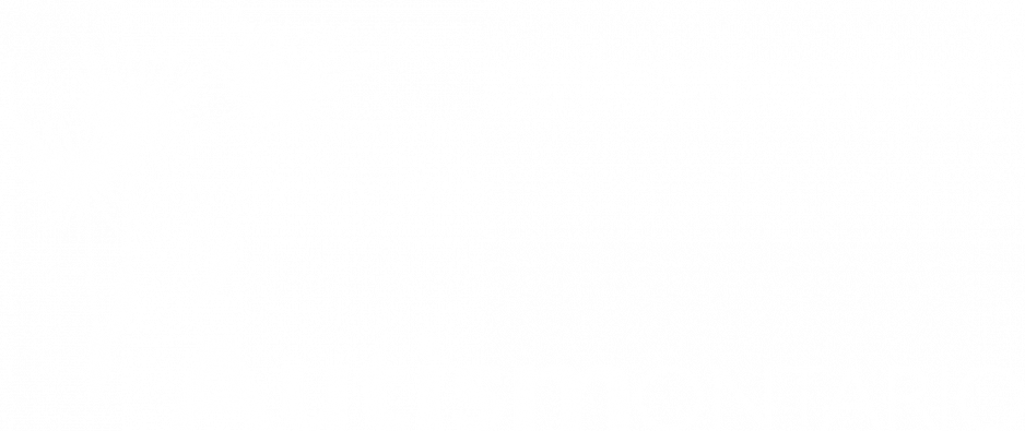 Autism Ontario White Logo - No Tag